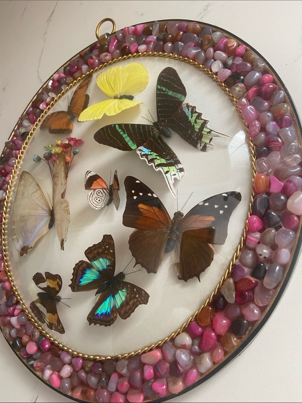 Vintage Peru Real Butterfly Specimen Wall Art Stone 10" - Picture 4 of 9